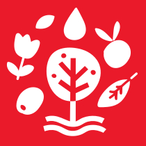 Myrovolos Chios Icon